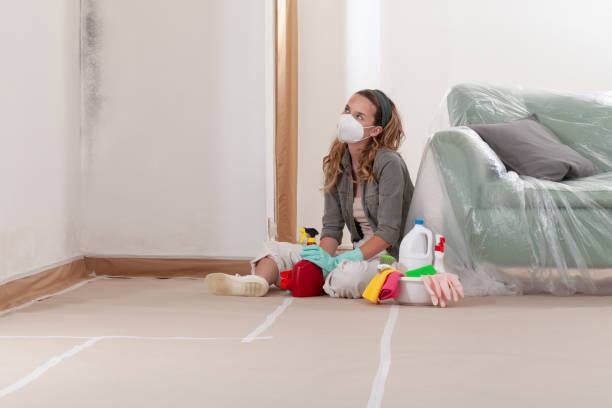 Reliable Mold Remediation contractor in Palmetto, GA by WQB Mold Removal